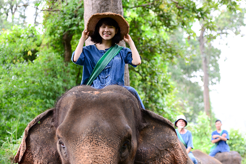 2 Hours Elephant Riding