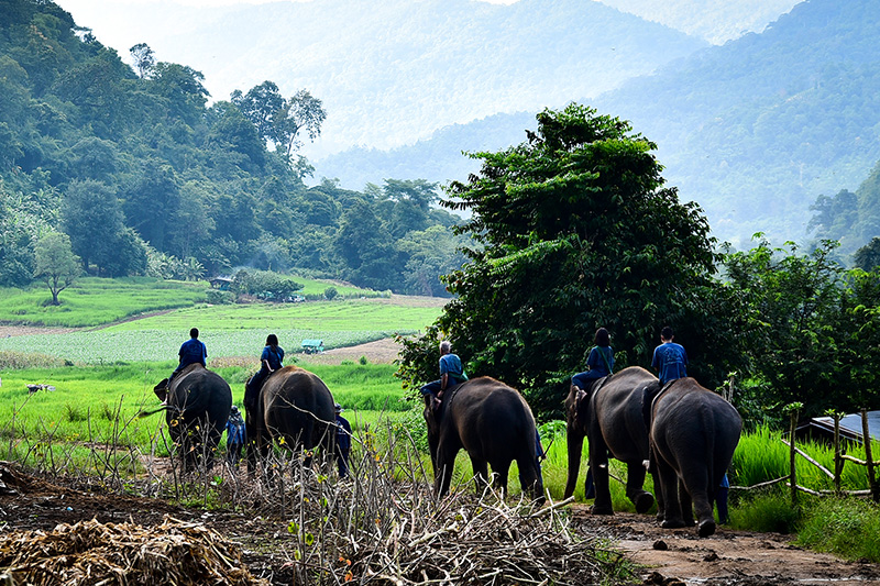 Trail of the Dinosaur – with Elephant Riding